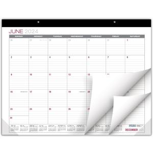 Global Printed Products Professional Desk Calendar 2025: Monthly Pages - 22"x17" - Runs Through December 2025 (Black)