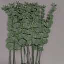 20pcs Eucalyptus Stems Artificial Eucalyptus Leaves Stems Artificial Fake Flowers for Home Office Flowers Bouquet Centerpiece Wedding Decoration Christmas Decor 2026