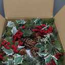 Timer - Christmas Wreath with Lights, 20" Christmas Wreaths for Front Door with 30LED Thick Norfolk PE Pine&Holly Leaves Red&Silver Berries Pinecones, Xmas Door Wreath for Indoor Outdoor Wall Home