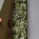 5 Pcs Silk Green Hydrangea Artificial Flowers - 20'' Faux Hydrangeas for Spring Indoor/Outdoor Home Decor & Wedding Arrangement