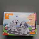 OR OR TU Walking Barking Toy Dog with Remote Control Leash, Plush Puppy Electronic Interactive Toys for Kids, Shake Tail,Pretend Dress Up Realistic Stuffed Animal Dog Age 3 4 5 6+ Years Old Best Gift (Grey+white)