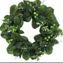 HD Designs24 Inc Magnolia Leaves/Berry Wreath