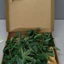 Ling's Moment 5.8ft Rosa Banksiae Artificial Garland, Silk Laurel Leaf Vine for Wedding Arch, Table Centerpiece & Event Decor, Faux Greenery Filler for Elegant Arrangements