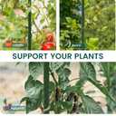 PROWORX 36 Inch 3 Ft Plant Support Garden Stakes 25 PCS, Sturdy Steel Plastic Coated Sticks for Outdoor Growing Climbing, Tomato, Trees, Cucumber, Beans