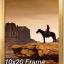A PLUS MAX 10x20 Picture Frame Gold Light Weight Wall Mount