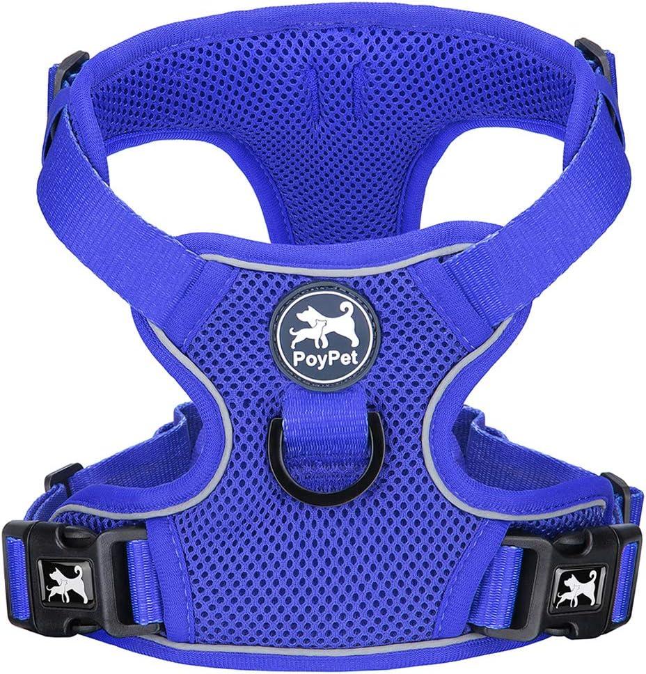 PoyPet Reflective Soft Breathable Mesh Dog Harness Choke-Free Double Padded Vest with Adjustable Neck and Chest(Royal Blue,S)