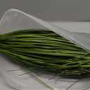 Artificial Grass Plants Outdoor 20PCS Fake Shrubs Wheat Grass Cattails 22 Inch Tall Onion Grass Greenery Stems UV Resistant Ornamental Grass Bushes Plant for Indoor Outdoor Home Garden Decor (55cm)