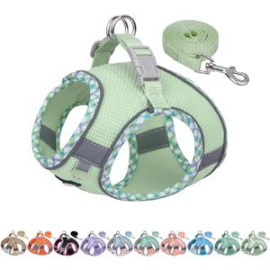 AIITLE Tiny Dog Harness - Lightweight Mesh Step-in Vest for Puppy, Reflective & Escape-Proof Design with High-Stick Magic Tape - Indoor/Outdoor Use for Chihuahua, Maltese, Shih Tzu(Sage, XXXS) (XXXS(Chest: 8.5 - 10"))