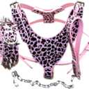 Leather Sharp Spiked Studded Dog Collars, Harnesses & Chain Leashes 3Pcs Matching Set for Medium & Large Dog Pit Bull,Mastiff, Boxer, Bull Terrier (XL, Pink Leopard)