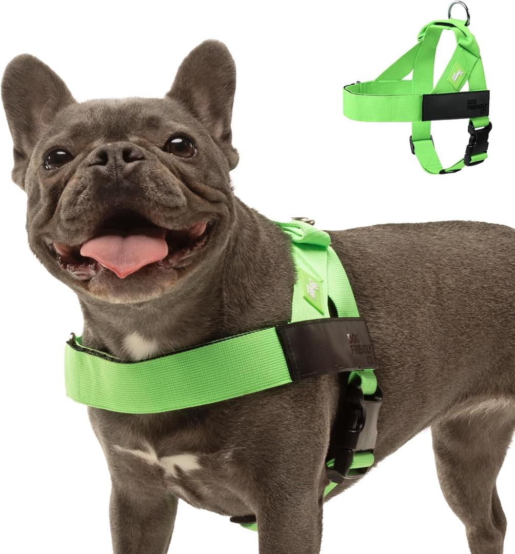 Dog Friendly Co. Dog Harness | Chafe Resistant Webbing, Adjustable Neck & Chest, and Heavy Duty D-Ring | Sturdy, Comfortable, Easy to Use | Neon Green, Size L