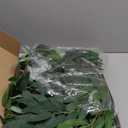 5 Pack 6 ft Artificial Willow Leaves Vine Garland Hanging Greenery Fake Silk Rattan Wicker Twig Italian Ruscus Plant Faux Ivy Wedding Garland for Home Outdoor Table Centerpiece Wreath Arch Decor