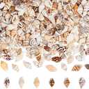 PH PandaHall 1400-1500pcs Tiny Sea Shells 7-12mm Tiny Crushed Shells Miniature Shell NO Hole Seashells Ocean Spiral Seashells for Resin Crafting Candle Home Party Wedding Fish Tank Vase Filler