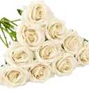 Artificial Rose 10pcs Open Flower Bouquet Faux Rose Stems for Wedding Arrangement, Bridal Bouquet, Centerpiece, Fake Faux Silk Flowers (Beige)