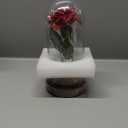 SW Preserved Rose Enchanted Rose Red Silk Rose in Glass Dome with LED Lights Pine Base, Romantic Home Decor Gifts for Mom Women Valentines Day Christmas Mothers Day Wedding Anniversary Birthday