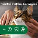 Advantage II Large Cat Vet-Recommended Flea Treatment & Prevention Cats Over 9 lbs. 2-Month Supply