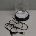 Paladone Harry Potter Levitating Golden Snitch Light, Touch-Activated Desk Lamp Accessories, Officially Licensed Harry Potter Decor Gifts & Collectibles