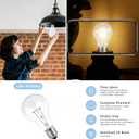 100W Incandescent Light Bulbs,A19 Bulb Dimmable Medium E26 Base Light Bulbs,A19 Incandescent Light Bulb (6)