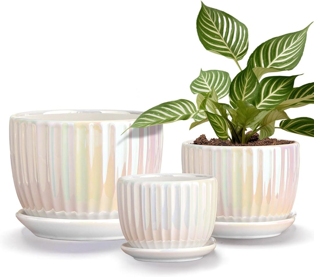 Ton Sin White Plant Pots,Pearl Gold Ceramic Flower Pots 4"+5"+6" Inch Indoor Succulent Pot with Drainage Hole - Decorative Orchid Pots and Herb Pots Set of 3