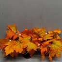 27.6" Christmas Table Centerpiece with Lighs Christmas Candle Holders with 3 Trays Red Berries Balls Pine Cones Xmas Pine Garland Lights Decoration for Centerpiece Table Mantel Holiday Home Decor (Green-cypress)