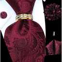 5PCS Tie and Pocket Square for Men, Silk Necktie and Handkerchief Cufflinks with Gold Ring and Lapel Pin Set (Burgundy Paisley Tie Set -159)