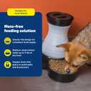 PetSafe Healthy Pet Food Station - Medium, 4 lb Kibble Capacity - Gravity Pet Feeder Dry Food Dispenser, Automatic Cat Feeder, Small to Medium Dog Feeder - Removable Stainless Steel Bowl Included