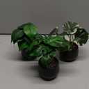 Briful 3PCS Fake Plants Potted Artificial Plants Mini Faux Plants in Black Ceramic Pots Greenery Décor for Home Office Table Room Farmhouse Indoor Decoration
