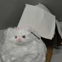 T PLAY Stuffed Cat Adorable Fat Cat Stuffed Animals Fluffy Cat Plush Soft Stuffed White Cat Durable Plush Cat Persian Kitty Toy Gifts for Children Baby Kids Girls 12"