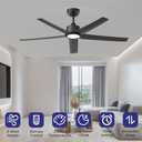 ocioc Ceiling Fans with Lights, 52 inch Black Ceiling Fan with Light and Remote Control, 3CCT, Quiet DC Motor, 5 Blades Modern Ceiling Fan for Living Room Farmhouse Bedroom