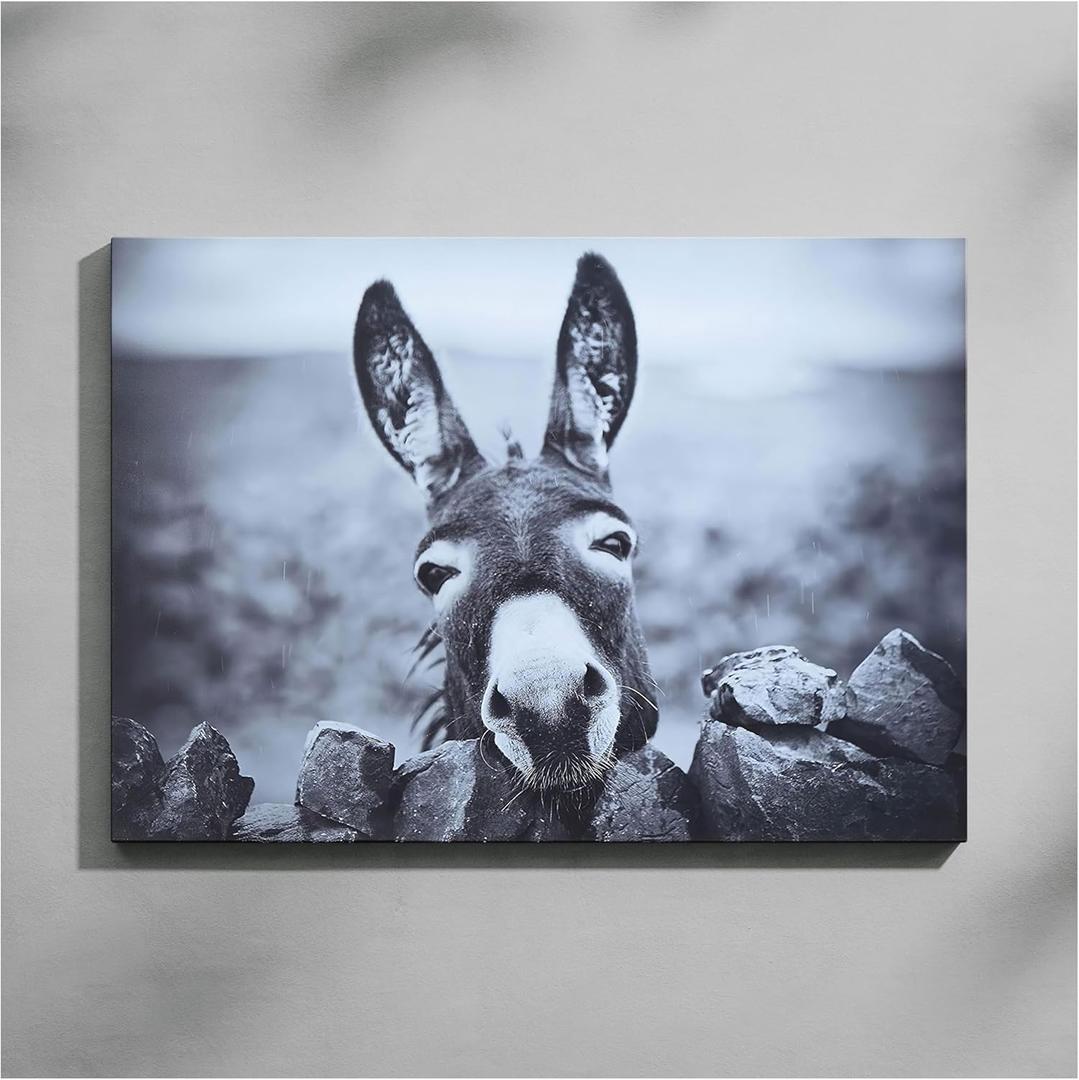 HSFFBHFBH Charming Black and White Donkey Canvas Wall Art | Funny Farm Animal Print for Rustic Home Decor Artwork | Waterproof Bathroom Picture Decor | Ready to Hang 12x16inch
