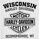 Harley-Davidson Men's Distressed Freedom Fighter Long Sleeve Shirt, White (4XL)