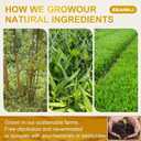 EBANKJ Turmeric and Cinnamon Tea Bags - 60 Herbal Tea Bags - Caffeine-Free, Sugar-Free, Naturally Relieves Stress and Boosts Immunity - Handcrafted Health Tea