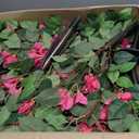2Pack 4FT Artificial Bougainvillea Topiary Trees for Outdoor, Fake Silk Flowers Plants Bushes with Ground Spike, Faux UV Resistant Shurbs Trees for Outside, Front Porch, Patio, Balcony Decor