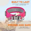 Durable 2-inch AirTag Dog Collar for Medium Dogs  Reflective, Heavy-Duty Metal Buckle, Comfortable Mesh Lining, Includes Patch and AirTag Holder (Pink, Medium: Fit 15" - 18" Neck)