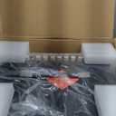 Fender Rumble 100 V3 Bass Amp for Bass Guitar, 100 Watts, 12 Inch Eminence Speaker, Overdrive Circuit, Tone Voicing, Effects Loop and Direct XLR Output