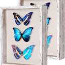 2 Packs 11x14 Shadow Box Frame with Linen Back - Sturdy Rustic Memory Display Case of Flower, Pictures, Medals and More, Distressed White