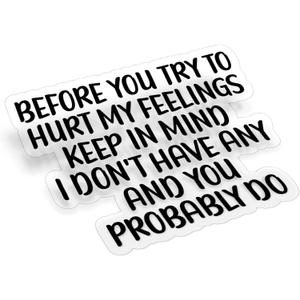 (3Pcs) Before You Try to Hurt My Feelings Clear Sticker Sarcastic Funny Quote Saying Decal Waterproof Vinyl Stickers Adult for Laptop Kindle Car Tumbler Water Bottle Bike Skateboard - Size 3x2.3