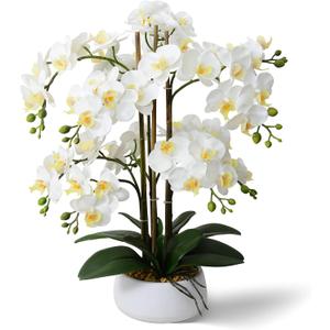 Ziwon Artificial Orchid Flowers & Plants Potted in Ceramic Pot, White Faux Phalaenopsis Orchids for Table Centerpiece, Realistic Fake Flower Arrangement for Home Office Decor Indoor (Ww15)