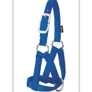 Weaver Leather LivestockWeaver Leather Livestock Goat Halter, Blue, 3/4" Small