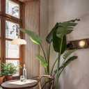 XZHGCEE Plug in Pendant Light: Milk Glass Hanging Light Plug in Hanging Lamp, White Pendant Lighting for Kitchen Island, Bedroom, Dining Room, Living Room, E26 No Bulb