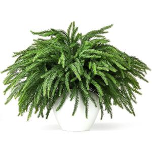 16 Pcs Norfolk Pine Stems, 19" Long Artificial Norfolk Pine Branches, Real Touch Greenery Stems for Vases, DIY Garland, Indoor Home Decorations