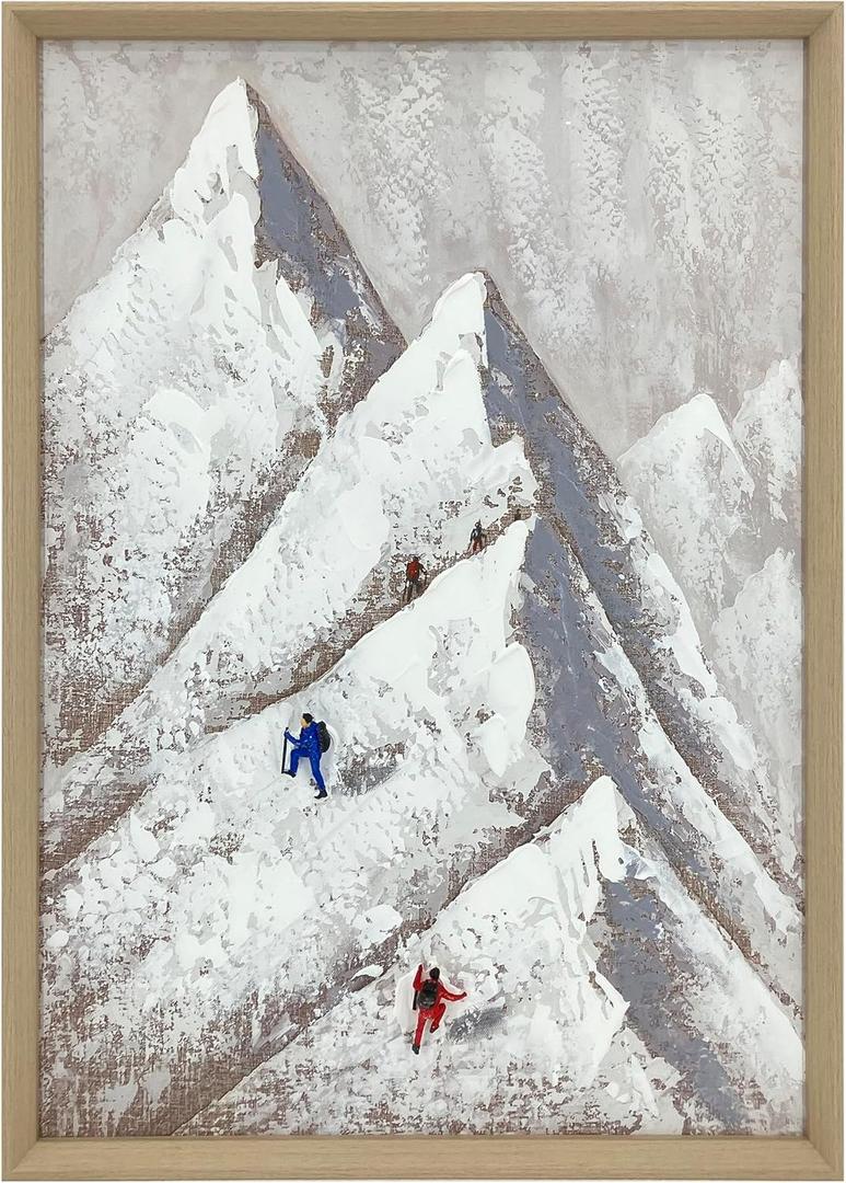 Snow Mountaineering 3D Textured Framed Hand-Painted Wall Art 19.7x27.6Inch
