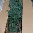 National Tree Company Pre-Lit 'Feel Real' Artificial Full Downswept Christmas Tree, Green, Douglas Fir, Dual Color LED Lights, 7.5 feet