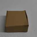 4 Piece 5-6" Lion's Paw Sea Shellfor Baking Smudging Crafts Beach Decor - Ocean Beach Seashells Perfect for Home Decoration, Art Craft, Vase Filler Fish Tank