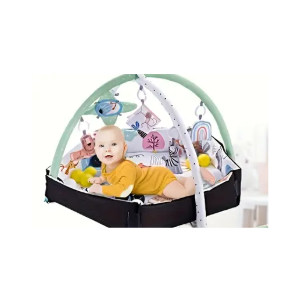 Baby Play Gym