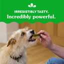 Greenies Original Petite Dental Dog Treats, (4) 30 ct Packs (120 Treats) (EXP 12/08/25)