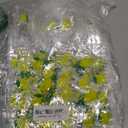 Tioncy 24 Pcs Lemon Party Favor Bags PVC Gift Snacks Bags She Found Her Main Squeeze Bridal Shower Party Favors with Handles Clear Lemon Theme Treat Goodies for Wedding Summer Supplies