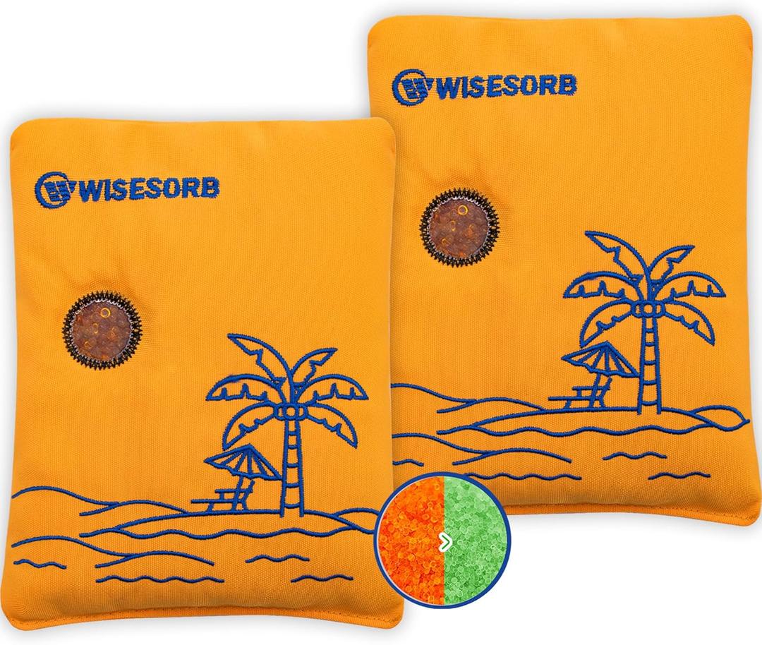 500g 2pcs Rechargeable Car Dehumidifier Moisture Absorbers Bags, Reusable Desiccant Color Indicating Silica Gel Packets, Microwave Reactivated Visible Desiccant Packs for Car Closet Basement