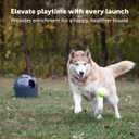 PetSafe Automatic Ball Launcher - Interactive Dog Toy for Enrichment - Tennis Balls Included - Motion Sensor Promotes Safe Play - Indoor & Outdoor - Adjustable Range - A/C Adaptor or Batteries