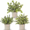 Der Rose 3 Pack Mini Potted Fake Plants Artificial Plastic Eucalyptus Plants Topiaries for Home Office Desk Farmhouse Shelf Room Bathroom Decor(Sage Green)