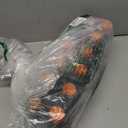 Gatorade Thirst Quencher Zero Sugar Sports Drink, Grape, 12oz Bottles, 12 Pack, Electrolytes for Rehydration (EXP 08/12/26)